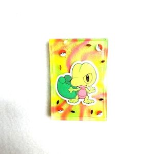 Treecko Pokemon Resin Keychain or Fridge Magnet "you choose"